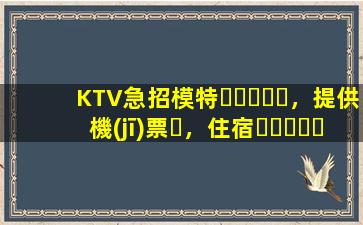 KTV急招模特，提供機(jī)票，住宿，日結(jié)